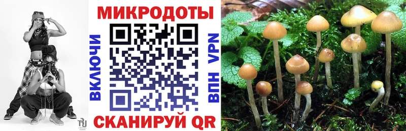 Псилоцибиновые грибы Magic Shrooms  наркотики  Белёв 